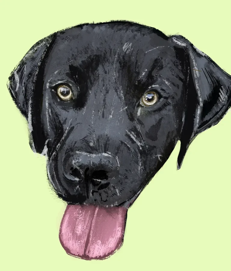 Drawing of dog with tongue sticking out