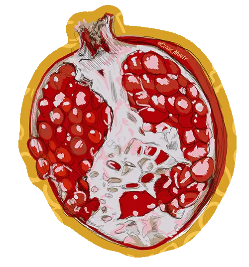 Illustration of a sliced pomegranate fruit