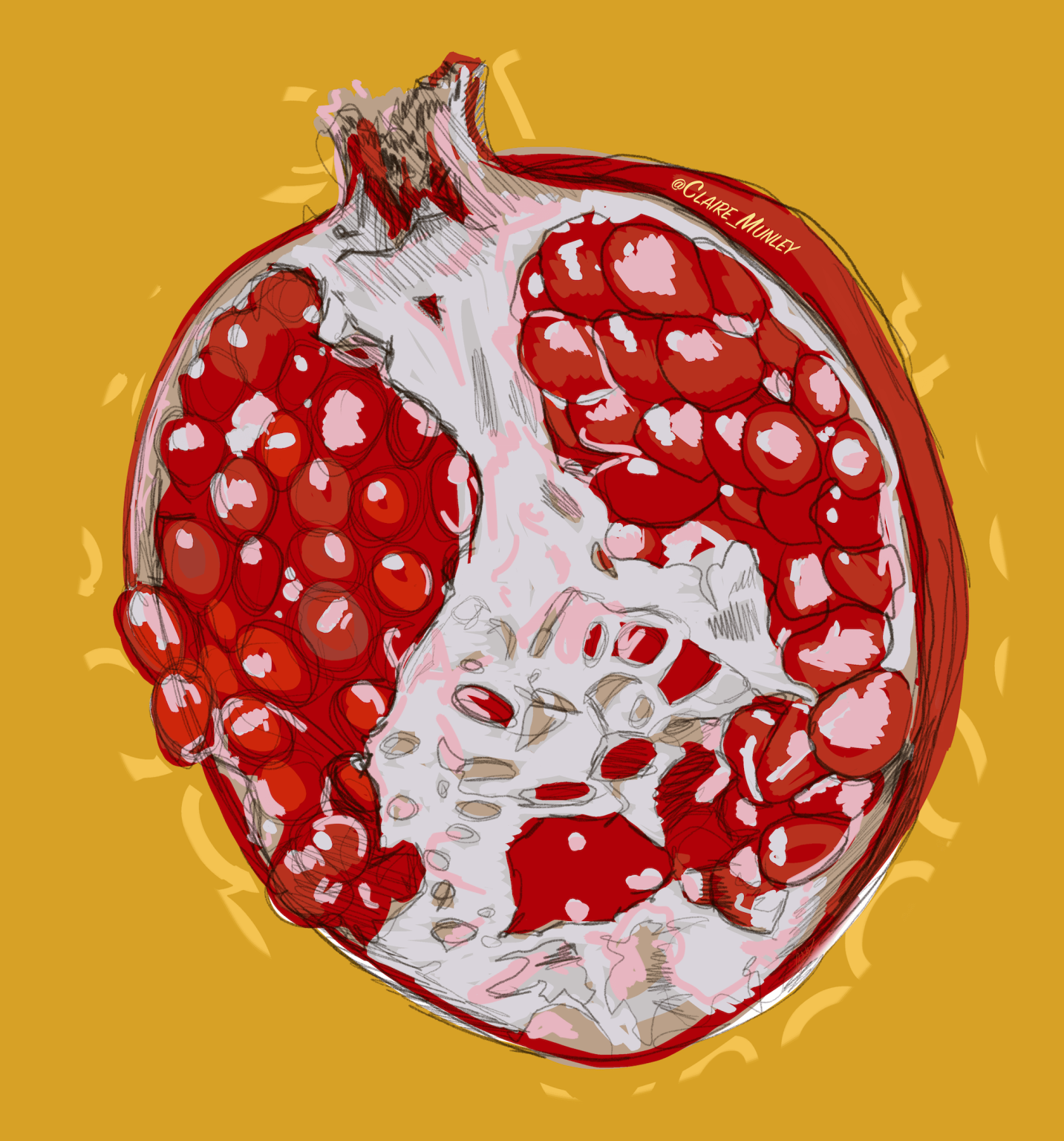 Illustration of a half pomegranate