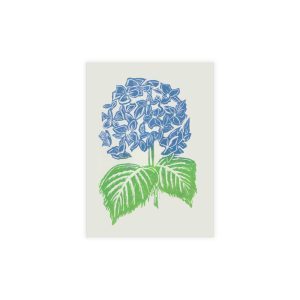 Illustration of a blue hydrangea flower